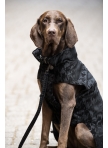 Dog Rug Eskadron Velvet Stamp Essence