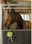 Excellent Horse Foodie Friends Apple