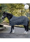Lucky Fly Rug