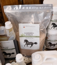 Horse Horse