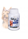 GelaCan Champion for nutrition of the hair of colored dogs