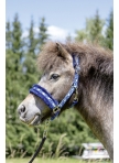 Head collar -Heart-