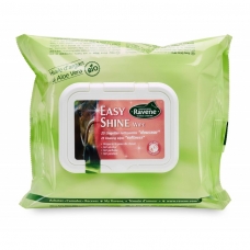 Wipes Ravene Easy Shine