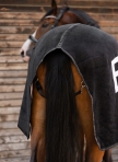 ESKADRON
