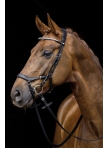 Bridle Pro Anatomic