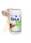 GelaCan Fast for acute pain in dogs