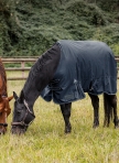 WALDHAUSEN