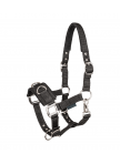 Economic lunging halter