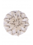 Hair net Pearl