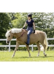 Neck Rein, round and adjustable