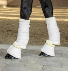 Bandages and Tendon Boots