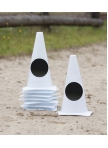 Arena marker cones