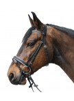 STAR Bridle Diamond