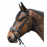 STAR Bridle Diamond
