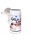 GelaCan Senior for joint nutrition of older dogs