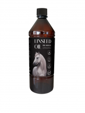 Horse Horse