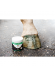 Excellent Horse Hi Gloss Glitter Hoof Polish