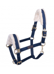 Halter Exclusive Halter Exclusive
