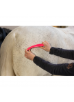 Excellent Horse Grooming Brush