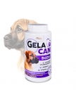 GelaCan Baby mineral nutrition for females and puppies