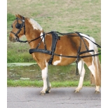 Single Harness, synthetic
