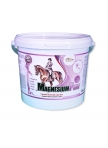 MagnesiumPony for horses