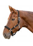 Halter Trinidad