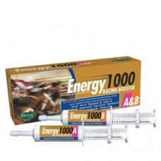 Oral paste Energy 1000A