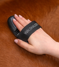 Horse Horse