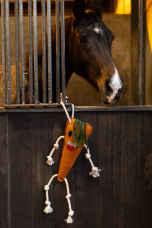 Horse Horse