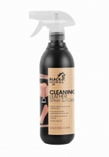 CLEANING LEATGHER SPRAY AND FOAM, 500 ml
