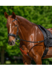 Lunging girth pad