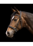 Waldhausen X-Line Bitless Bridle Supersoft Waldhausen X-Line Bitless Bridle Supersoft