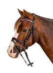 Waldhausen Bridle Pinky Star Pony Waldhausen Bridle Pinky Star Pony