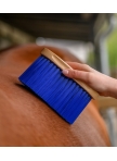Coat and Mane Brush