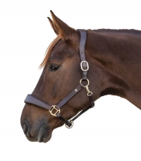Leather Halter Anatomic X - line