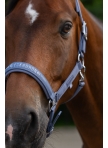Halter Eskadron Sparkle Doublepin Classic Sports 26 Halter Eskadron Sparkle Doublepin Classic Sports 26