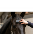 Excellent Horse Grooming Brush