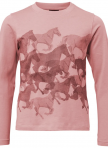MOUNTAIN HORSE