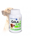 GelaCan Fast for acute pain in dogs