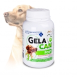 GelaCan Fast for acute pain in dogs