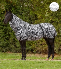 Zebra Basic eczema rug