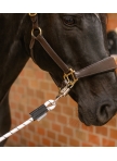 Elastic Tie-Up for Stall and Stable, 90 cm