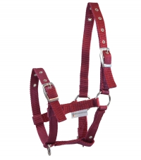 HALTER TRIPLE FOR FOALS