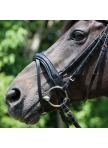 Bridle PERSEUS