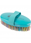 Rainbow Grooming Brush