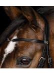 Waldhausen X-Line Bridle Charmbit Waldhausen X-Line Bridle Charmbit