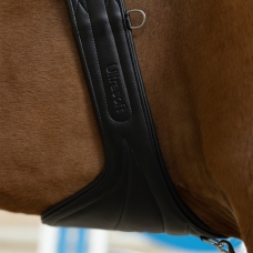 Horse Horse