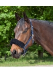 Noseband or headpiece cushioning pads