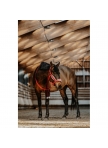 Halter + lanyard EQUITHÈME - Xmas Halter + lanyard EQUITHÈME - Xmas